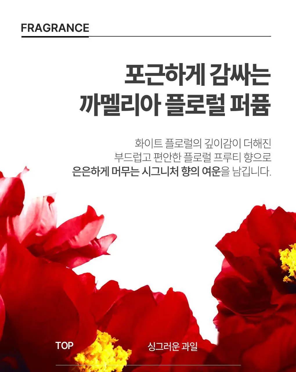 [집중영양케어] 츠바키 프리미엄 EX 데미지케어 & 리페어 샴푸 450ml 상세페이지 18